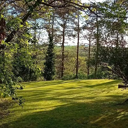 Villa Giglio Prestigiosa Dimora - Parco E Piscina - - Di Bolsena